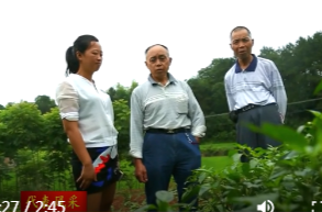 李丹：深耕有机沃土 绘就乡村共富新画卷