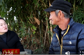 李芳：脚步丈量民情 实干温暖民心