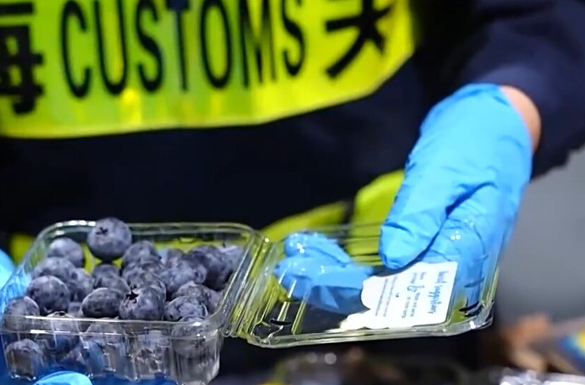 新思想引领新征程丨高质量共建“一带一路” 不断拓展共赢发展新空间