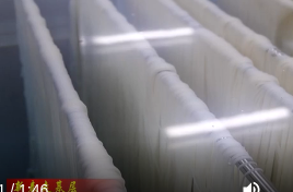 常德高新区：开足马力赶订单  全力冲刺“开门红”