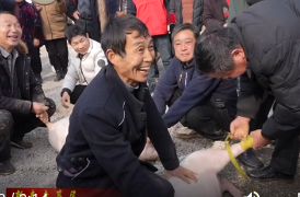 周家店镇：众筹20万办村晚 瓦屋垱村千名村民庆新春