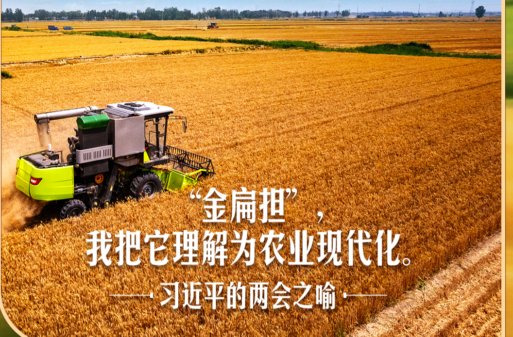 习近平的两会之喻｜“金扁担”，我把它理解为农业现代化