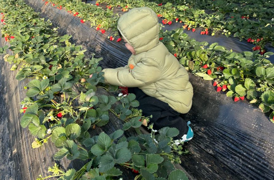 习近平总书记关切事｜经济大省勇挑大梁