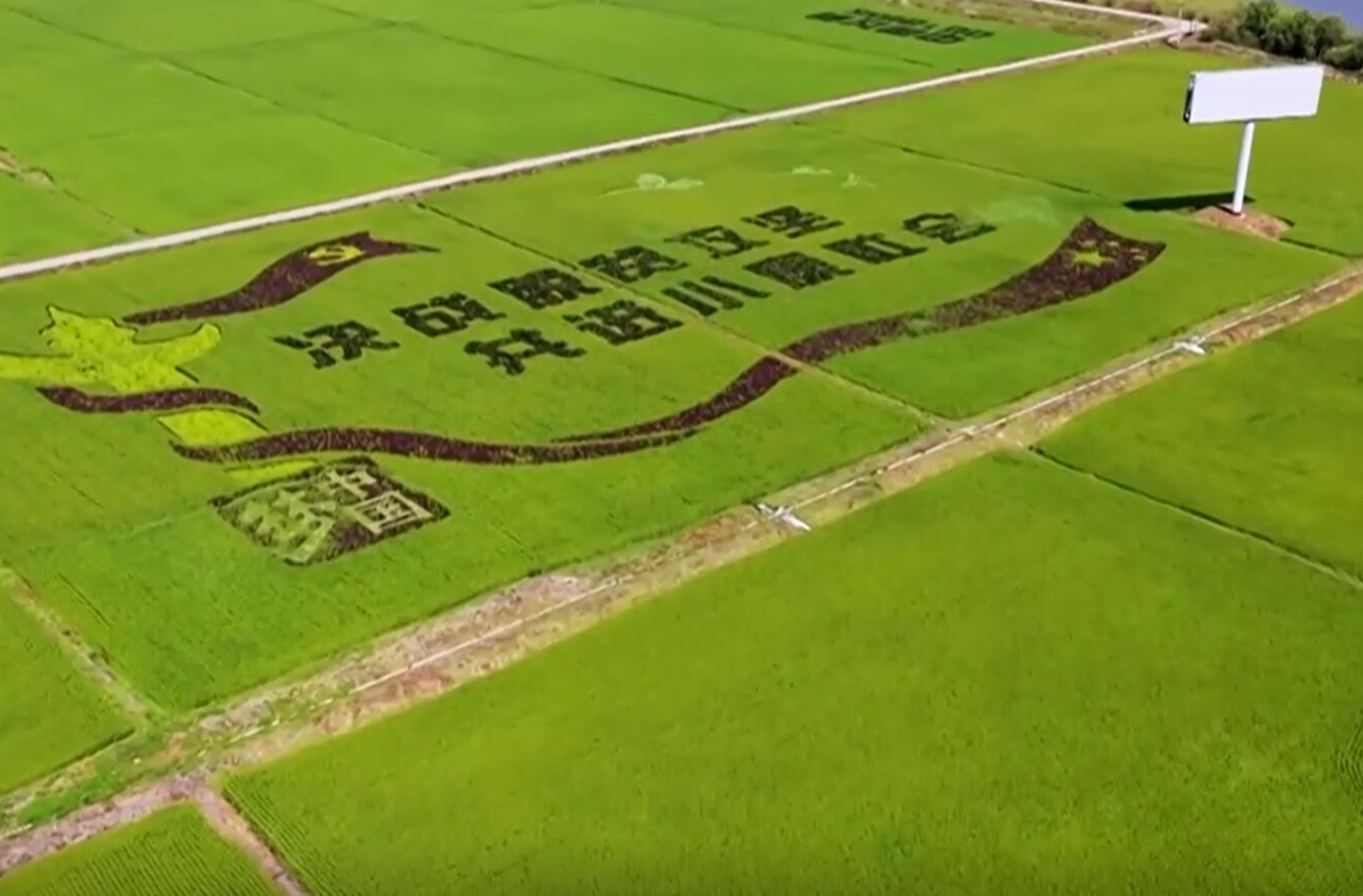 【新思想引领新征程·非凡“十四五”】持续巩固拓展脱贫攻坚成果 扎实推进乡村全面振兴