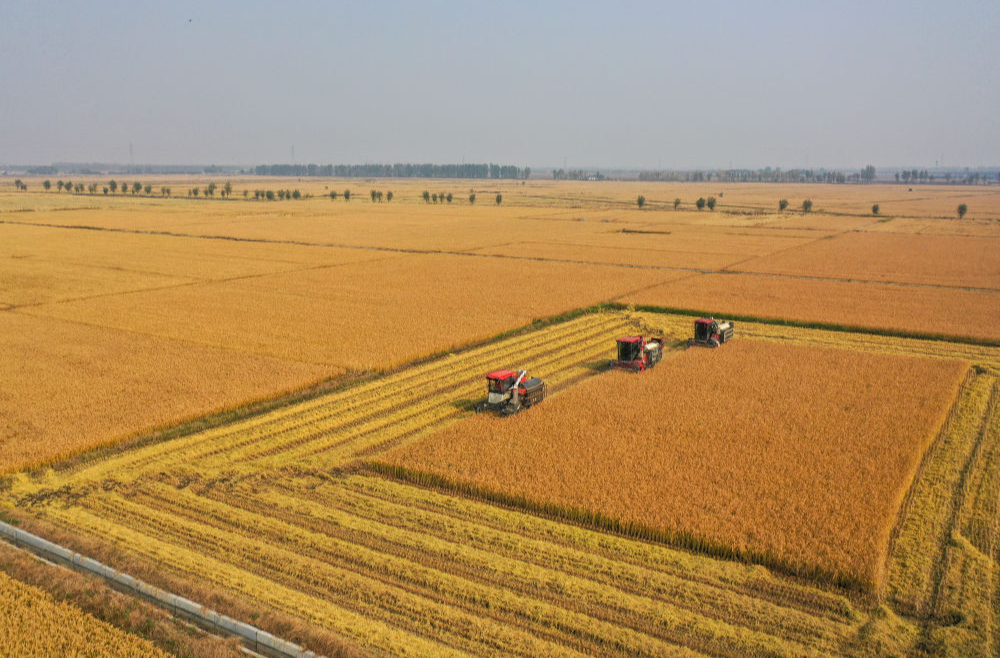 习近平总书记引领中国从脱贫攻坚迈向乡村全面振兴