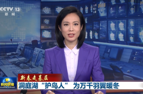 【新春走基层】洞庭湖“护鸟人” 为万千羽翼暖冬