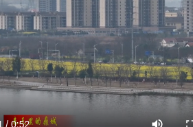 阳春三月花盛开 阳明湖景入画来