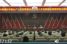 鼎城：2026年计划完成粮食播种面积151.1万亩