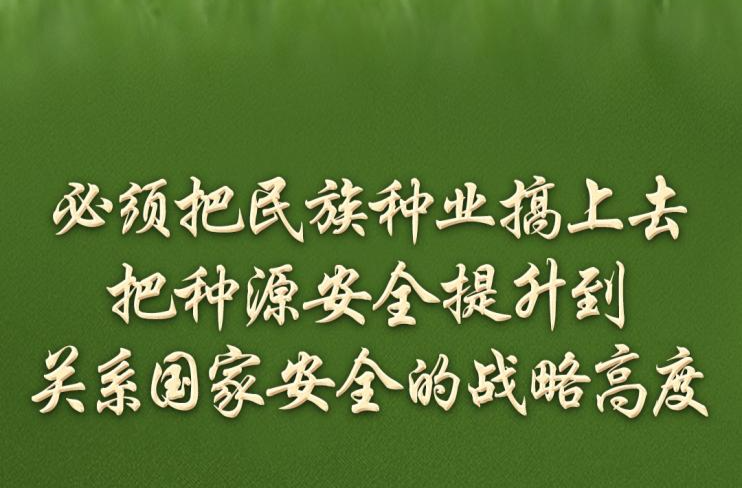 习语丨一粒小小的种子，何以让总书记如此牵挂？