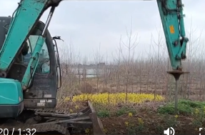 鼎城区善卷垸：清违植绿筑屏障 汛前排查保平安