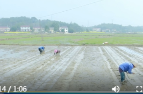 鼎城区农业农村局：下沉一线“把脉”春耕  靠前服务不误农时