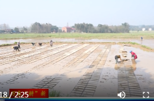 黄土店镇：抢抓农时不负春 田间地头备耕忙