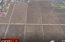 鼎城：建好高标准农田   护航春耕生产