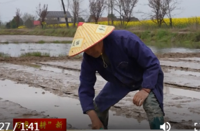 韩公渡镇：春耕“加速跑”  科技助力稳产增收