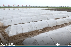 何朝辉督导春耕备耕工作