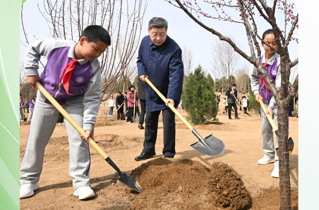 时政微观察丨草木植成，国之富也