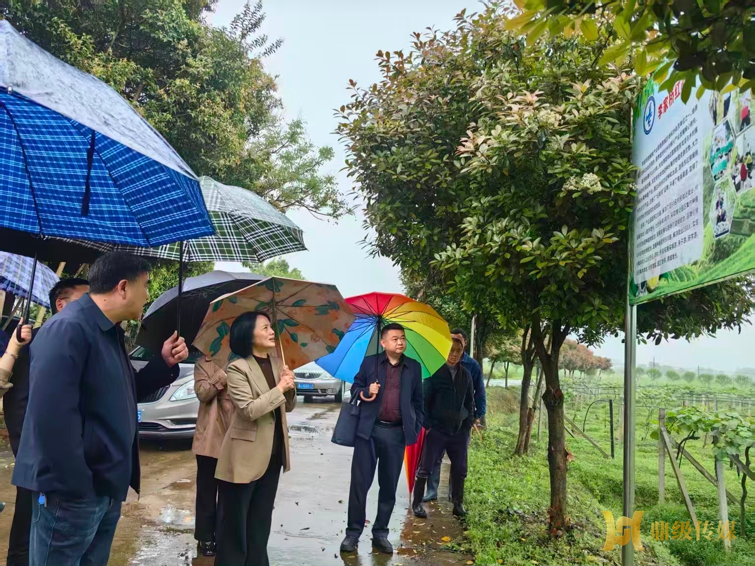 鼎城区老科协：银发赋能兴产业 科技赋能促振兴