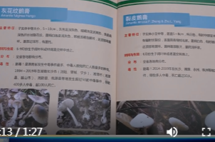 鼎城：开展预防误食毒蘑菇主题宣传活动
