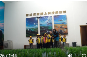 港中坪：“一粒米”农文旅乡村游火热五一假期