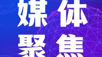 微视频｜像对待生命一样关爱海洋