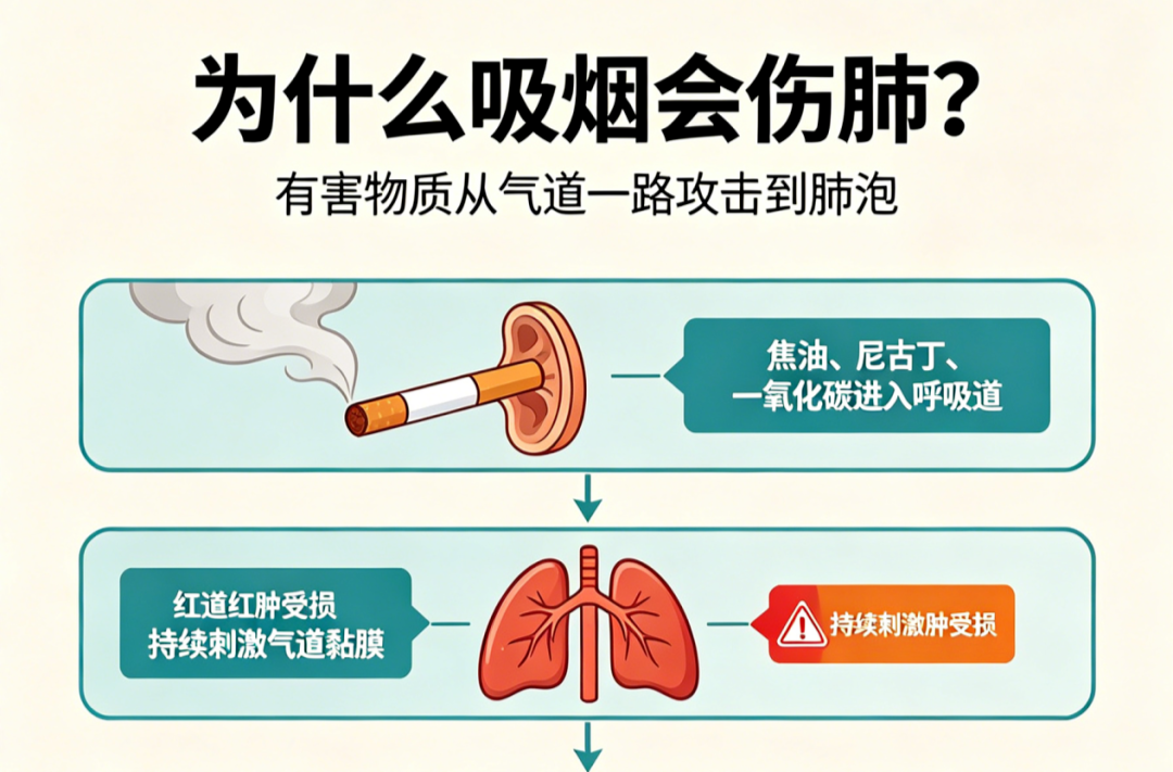 【健康科普】老烟民注意！CT 正常≠肺没事，这项检查才是保命关键