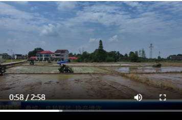 鼎城：良种赋能 稳产增收