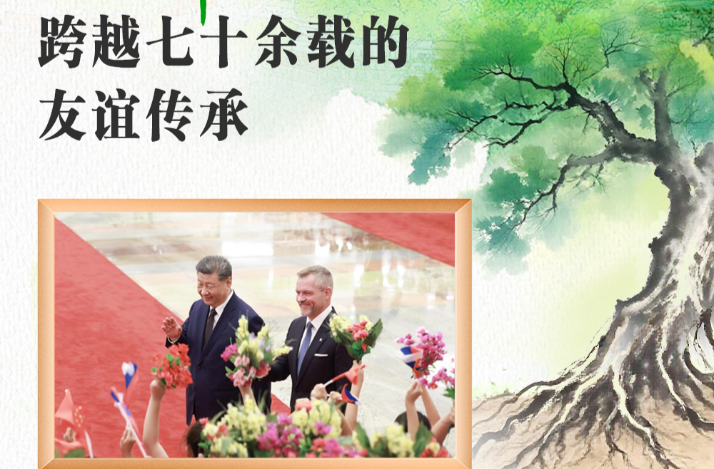 天天学习｜中斯友谊之树根深叶茂