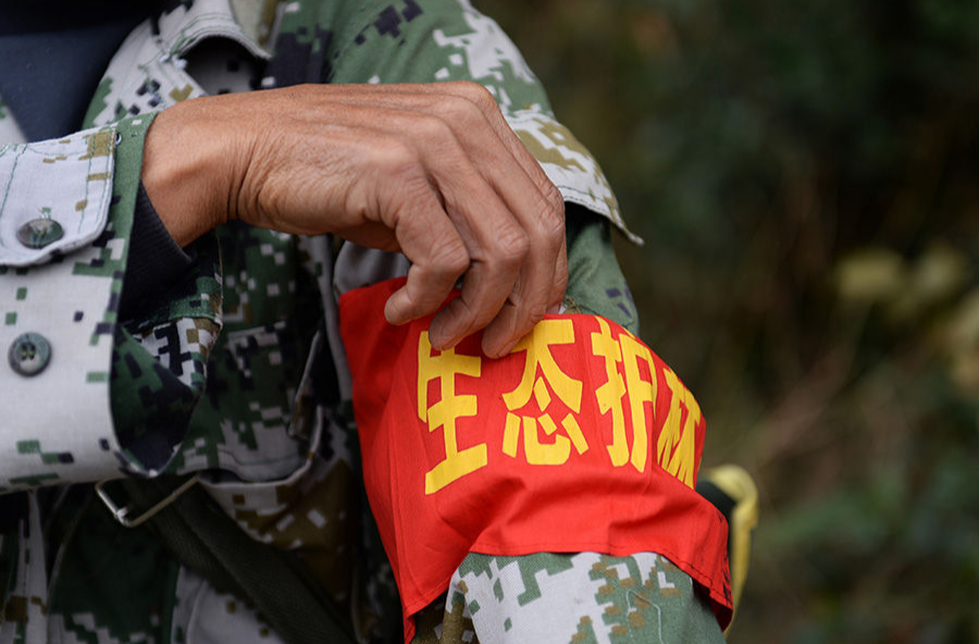 学习进行时｜“人不负青山，青山定不负人”