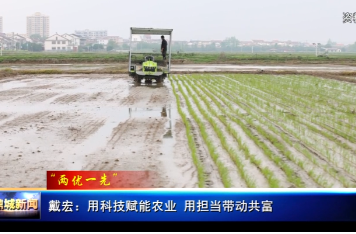 “两优一先”·戴宏：用科技赋能农业，用担当带动共富
