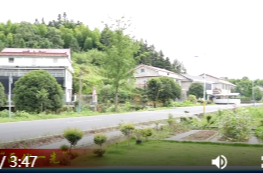 鼎城区花岩溪镇党家庵村：党建“组合拳” 打出乡村“和美新景”