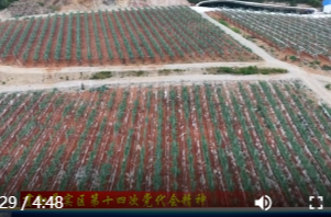石板滩镇：绿水青山 富民兴乡