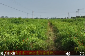 牛鼻滩镇：产业生态两手抓 水乡发展谱新篇