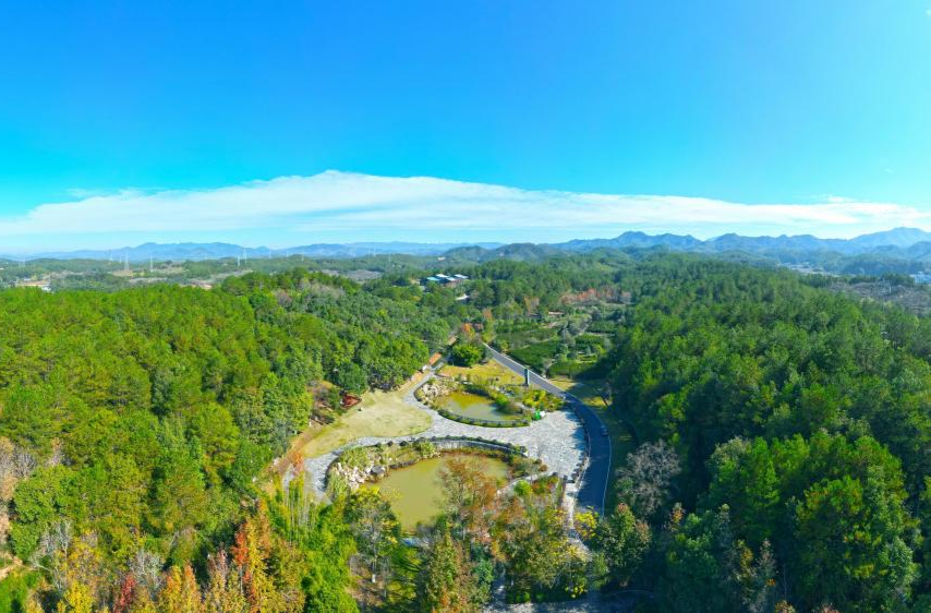 永远不要忘记老区，永远不要忘记老区人民