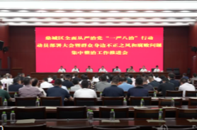 鼎城区召开全面从严治党“一严八治”行动动员部署会暨群众身边不正之风和腐败问题集中整治工作推进会