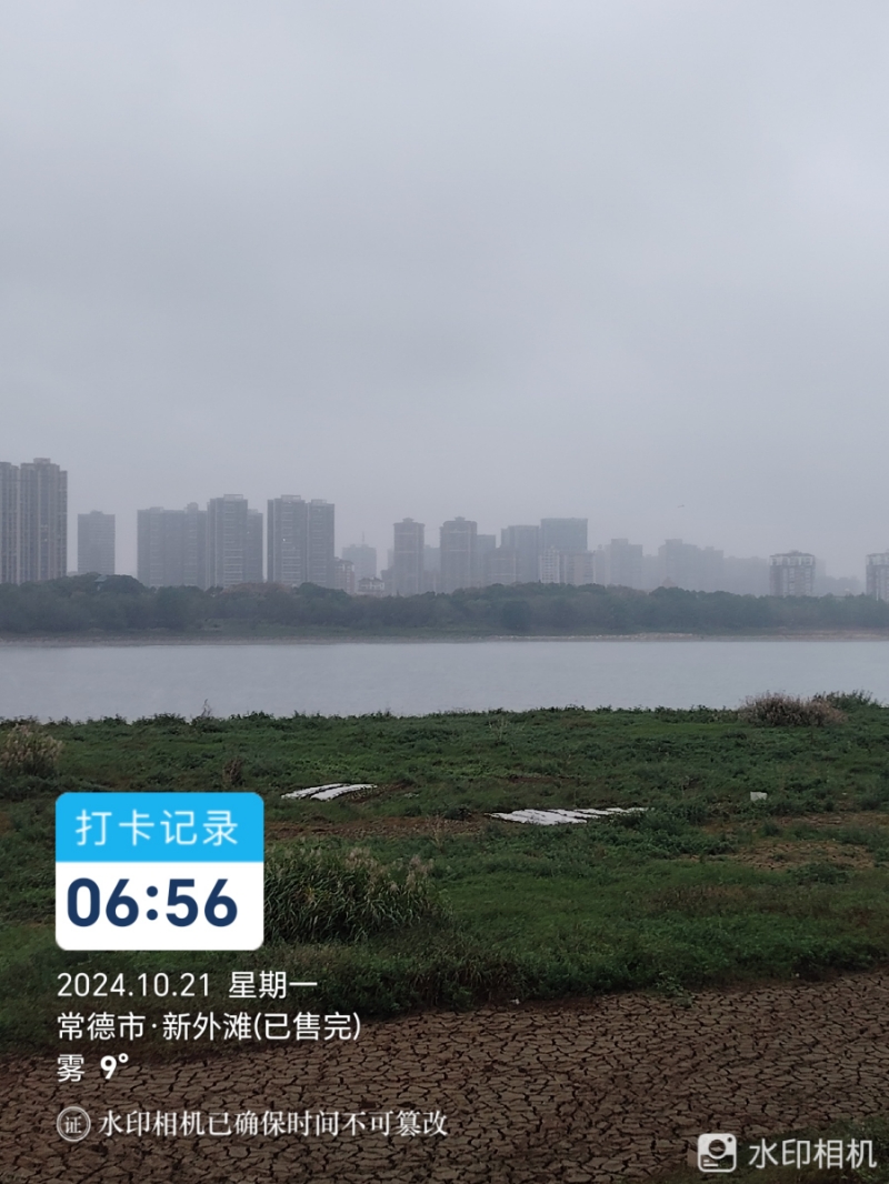 公园滩涂湿地私自种菜