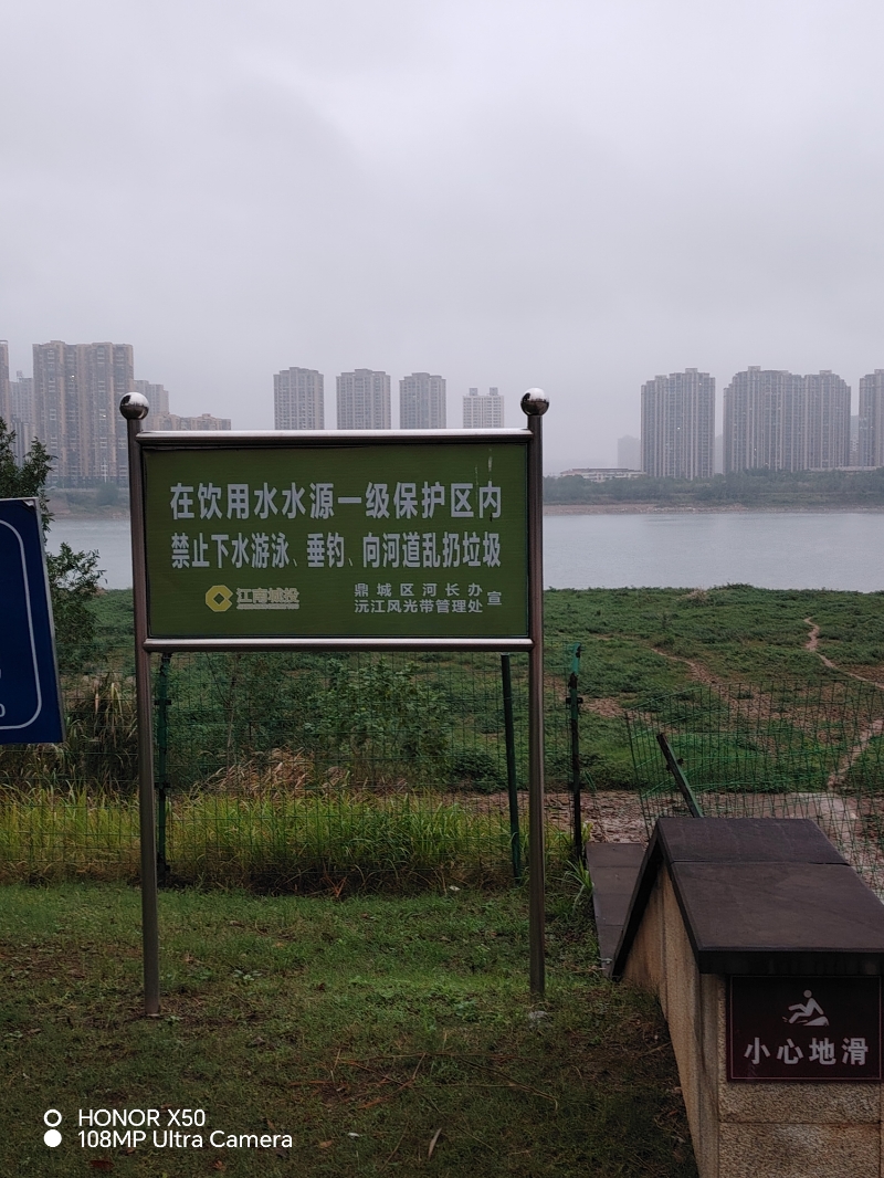 公园滩涂湿地私自种菜