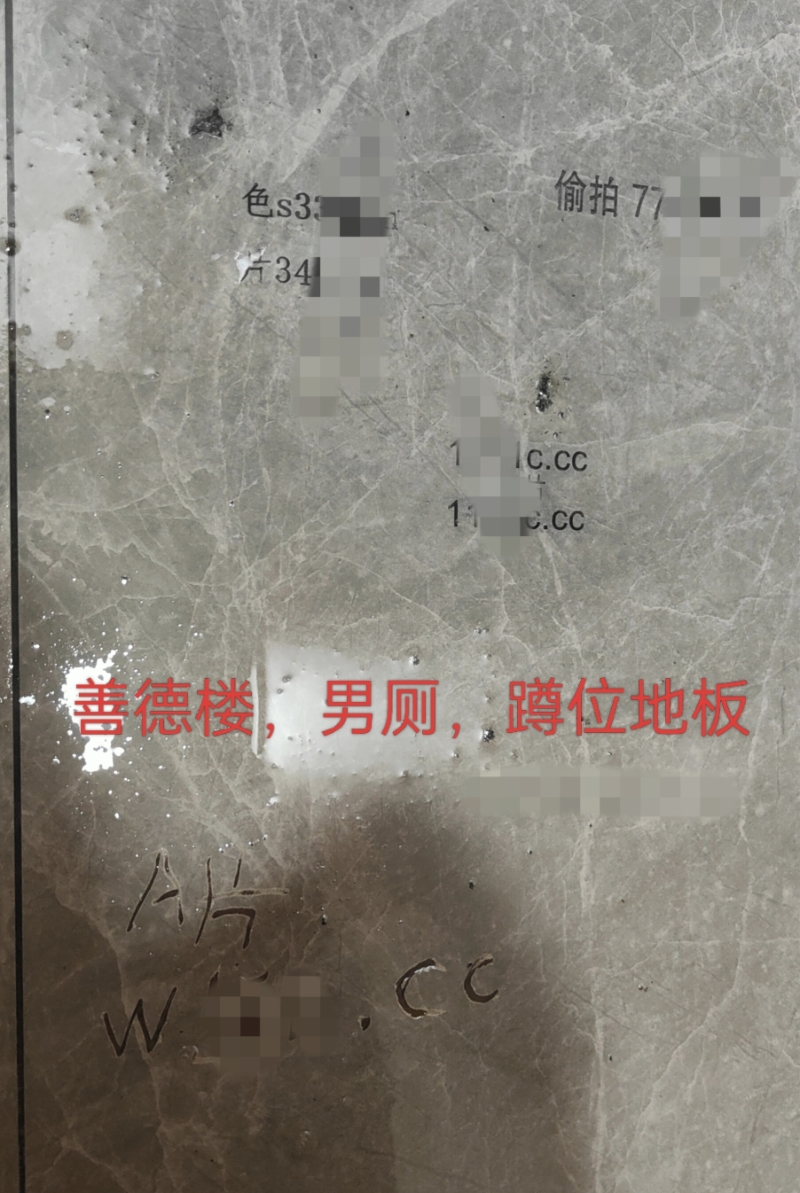 善德楼、楚望楼男厕现不良信息，毒害社会，亟需清除治理