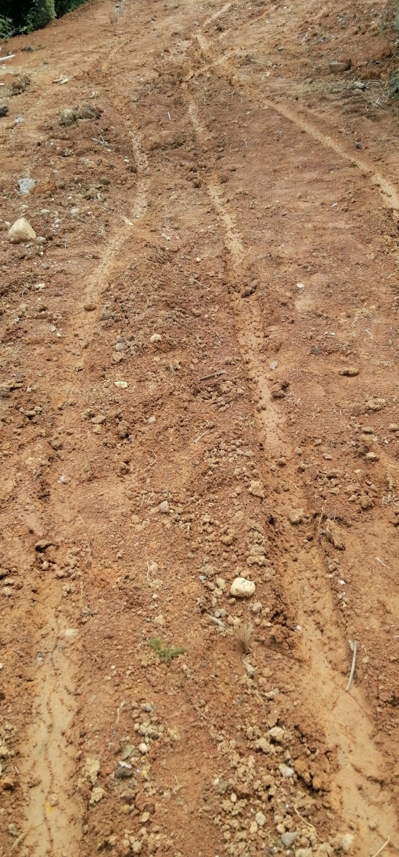 尧天坪镇发旺桥村荷花组水泥路何时修？