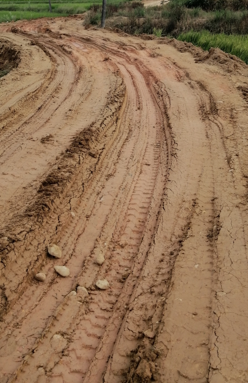 尧天坪镇发旺桥村荷花组水泥路何时修？