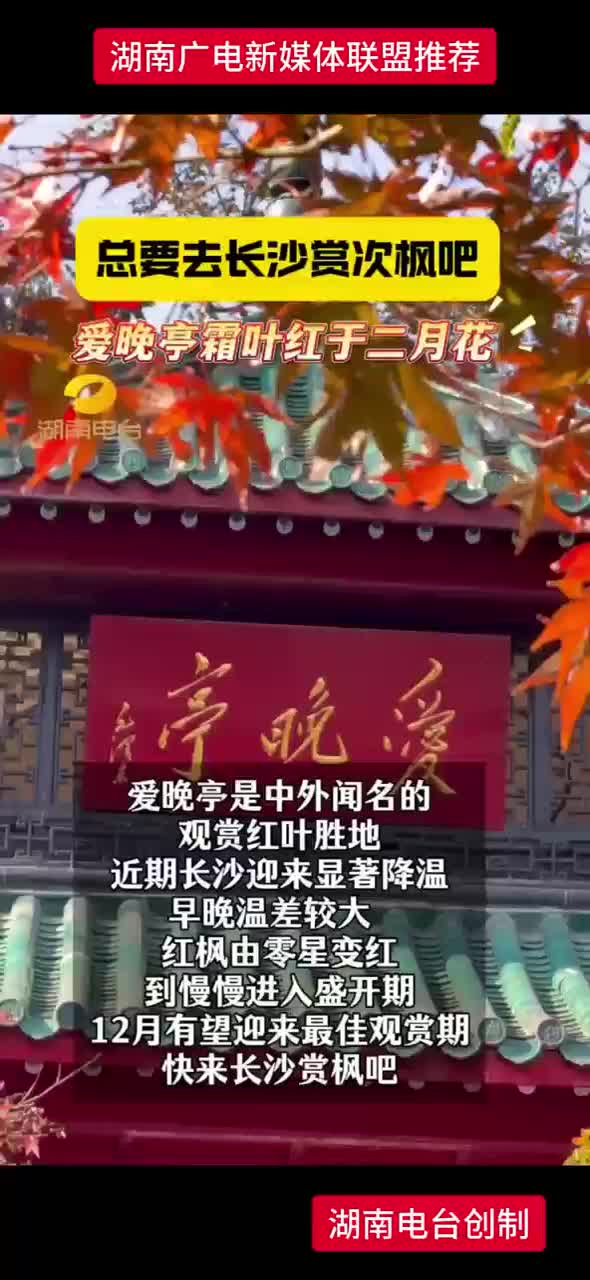 总要去长沙赏次枫吧