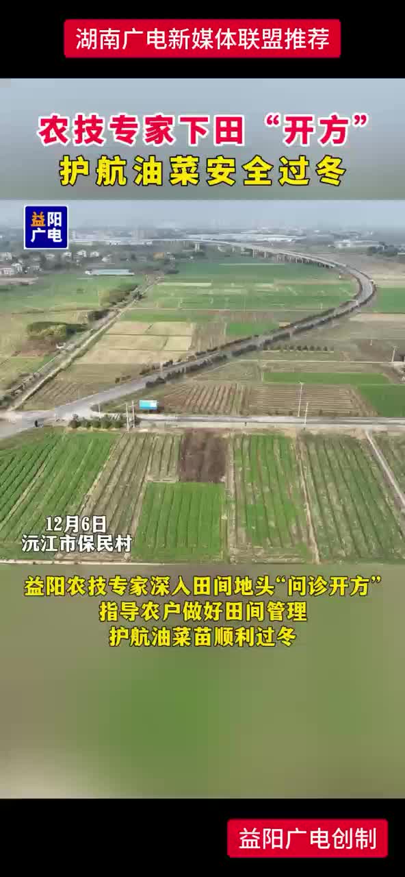 农技专家下田“开方”  护航油菜安全过冬