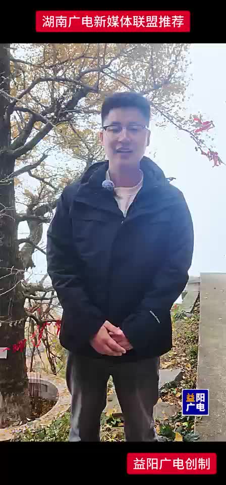 小易说益阳丨益阳树龄最长的银杏树