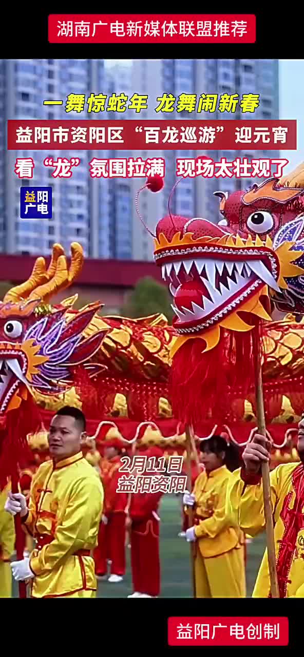 一舞惊蛇年 龙舞闹新春