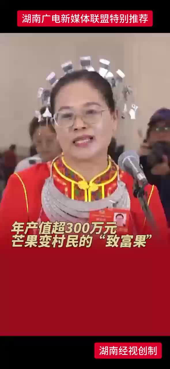 年产值超300万元 芒果变村民的“致富果”