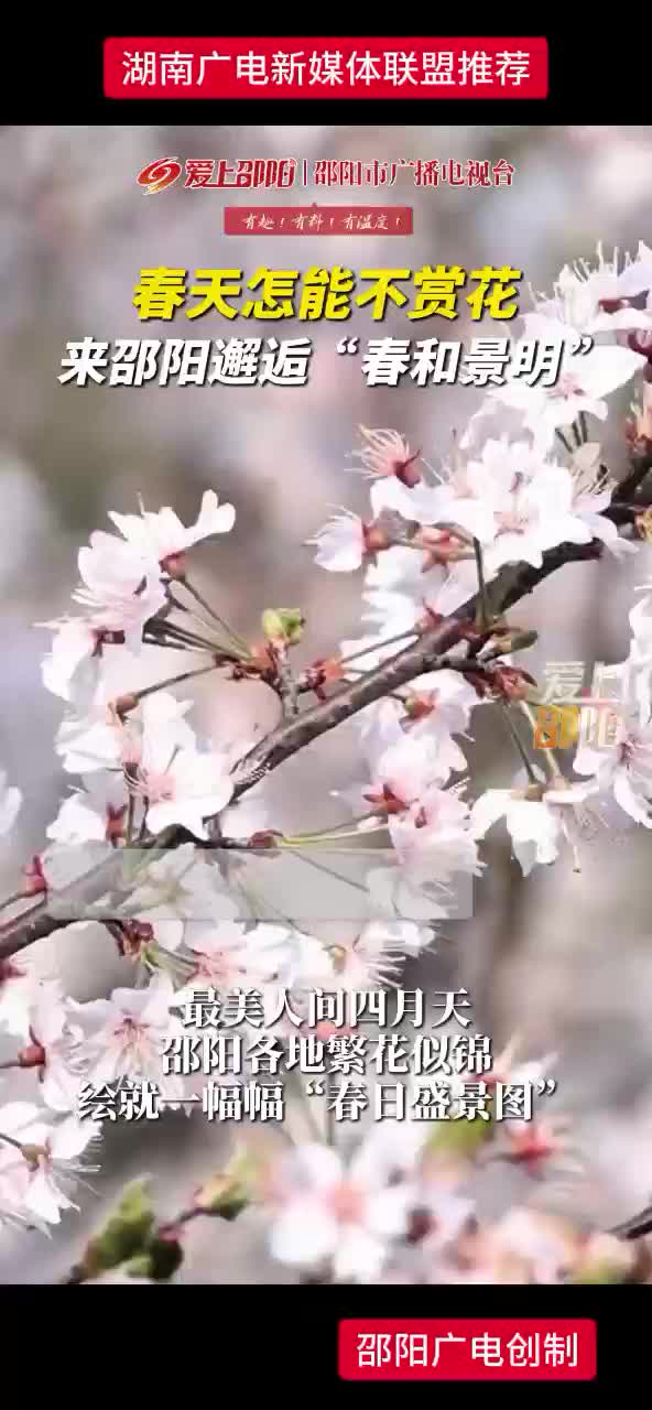 春天怎能不赏花，来邵阳邂逅“春和景明”