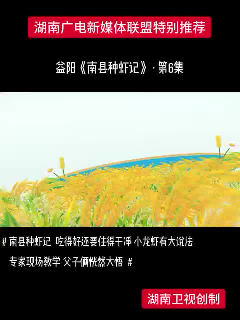 益阳《南县种虾记》·第6集