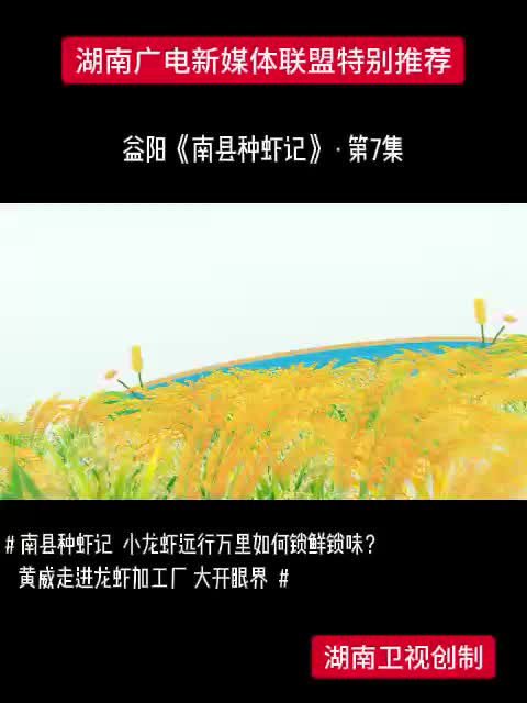 益阳《南县种虾记》·第7集