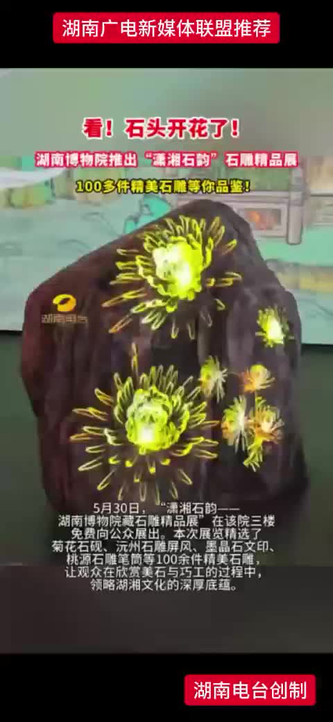 看!石头开花了!