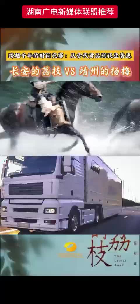 长安的荔枝 VS 靖州的杨梅