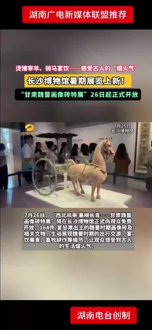 长沙博物馆暑假展览上新！